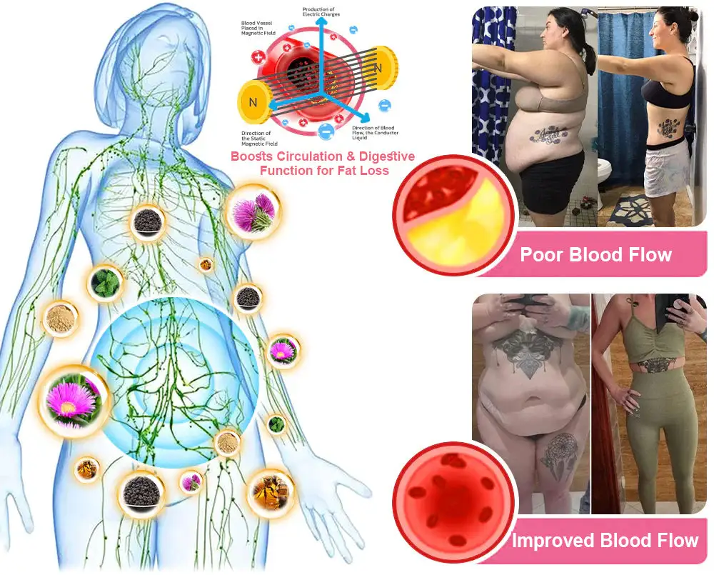 Cvreoz® 🌿🌿 GLP-1 Health Patch 🔥 Limited Edition Packaging with 70% Discount! 🔥 (Suitable for long-term use or use during any endurance activity)